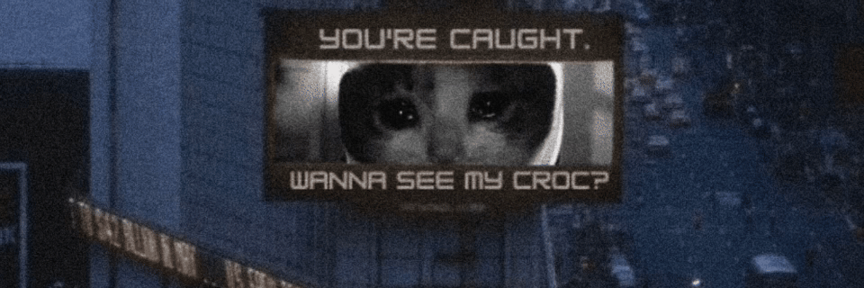 get caught banner #3