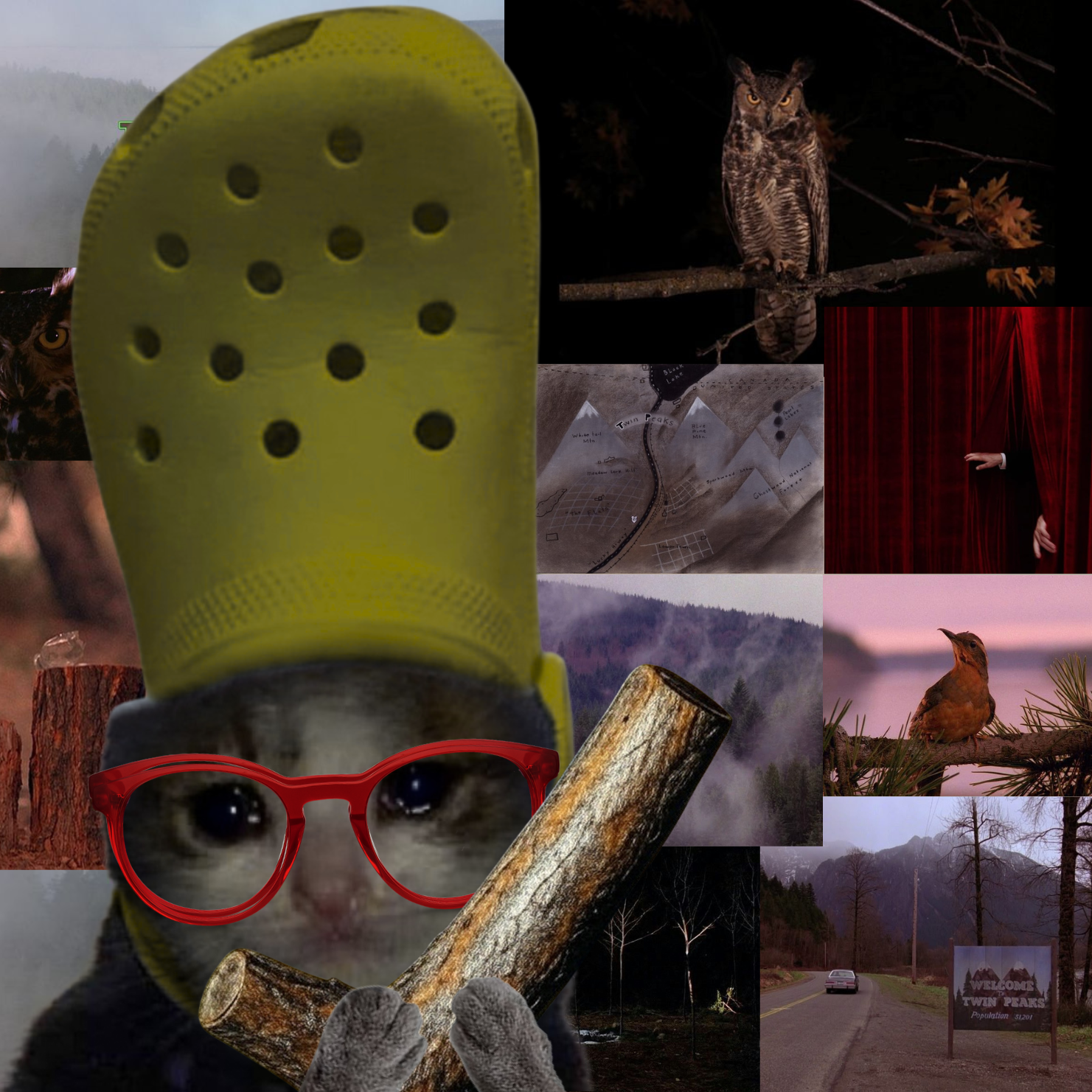my log sees things