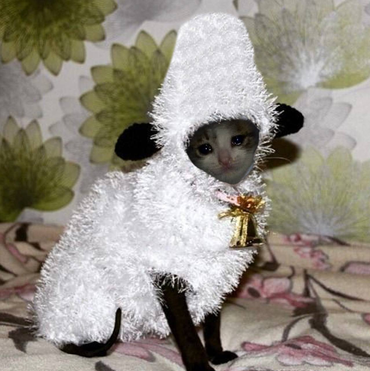 for a moment i became a lil sheep just so you could count me before you fall asleep