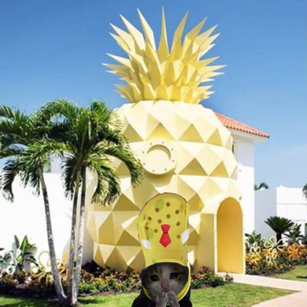 home sweet pineapple 