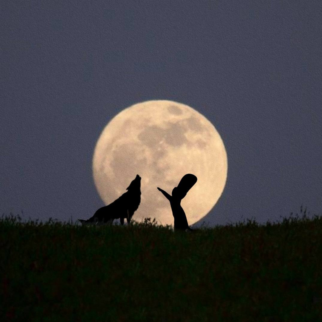wolf moon