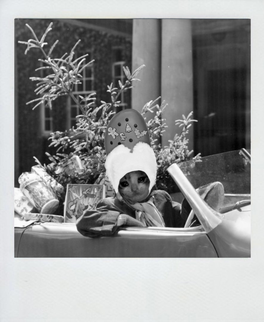 zoom zoom crocvette zoom zoom