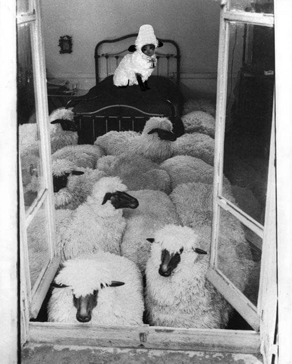 goat goat goat