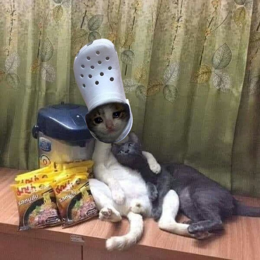 i like your style and you know what else i like? instant noodles