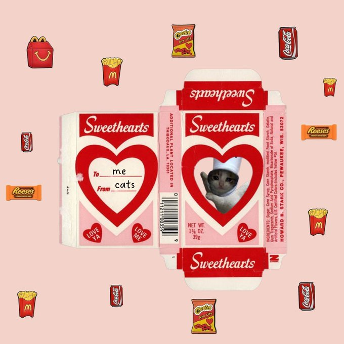 did i prepare it for myself maybe do i wish all cats well maybe