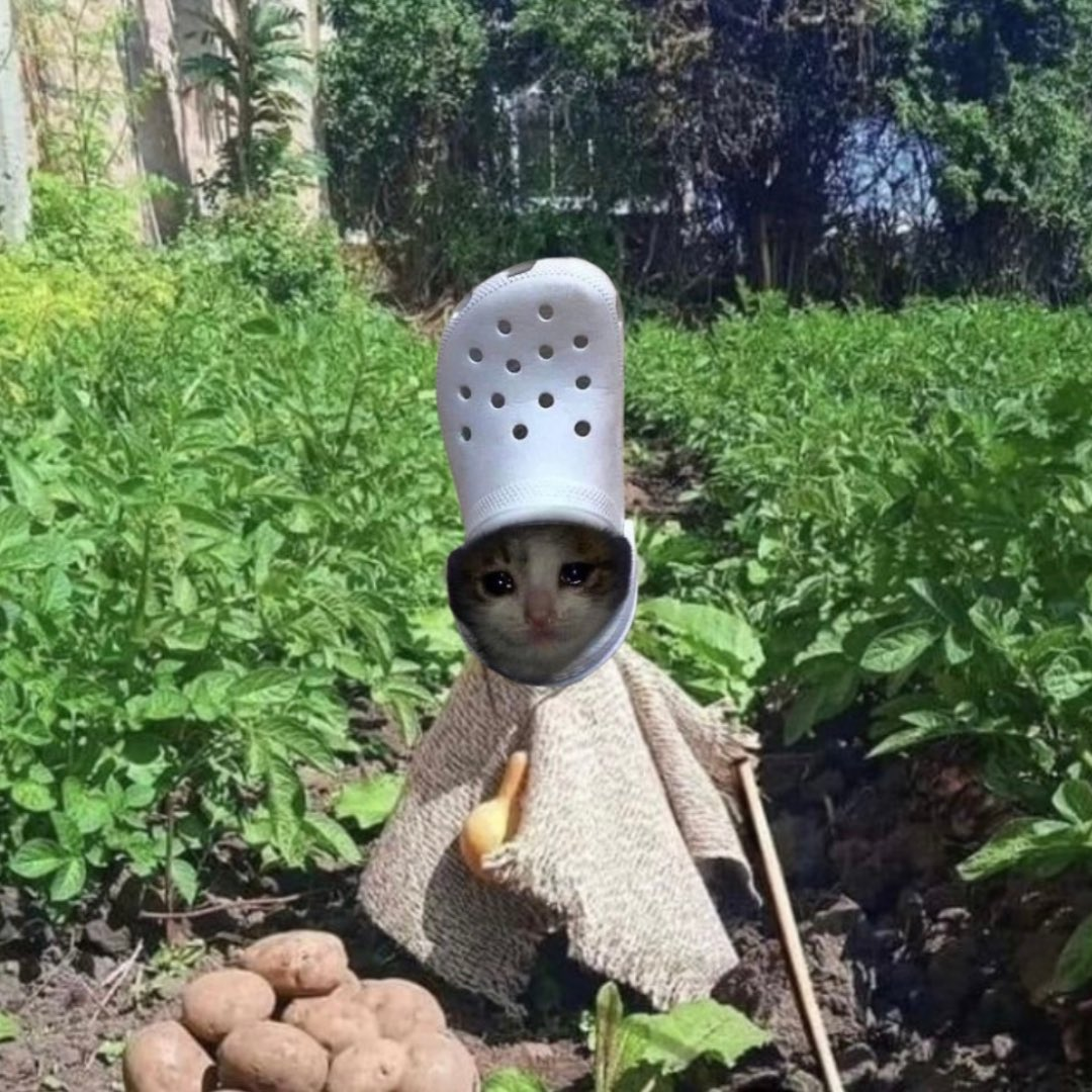 what if they realize that potatoes are blooming in my trenches?