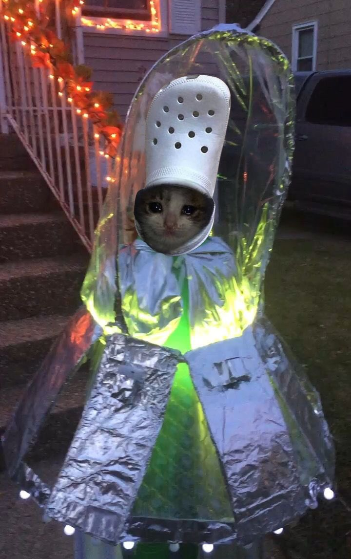 i want to believe