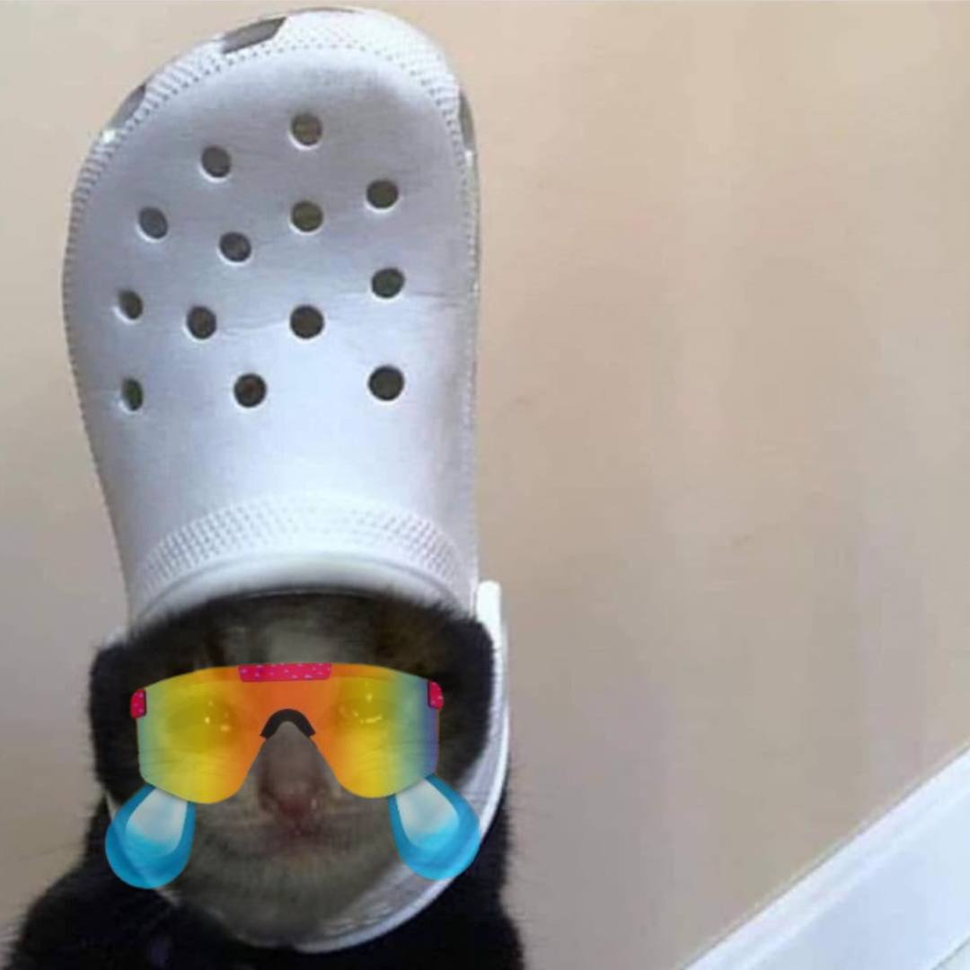 croc mog