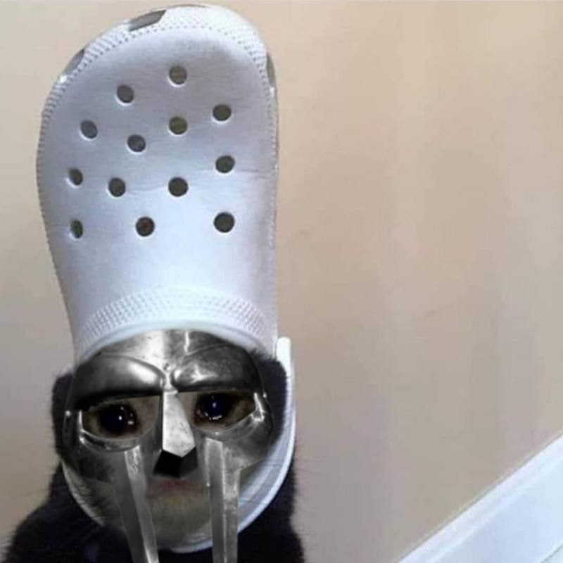 mfdoom/meechie croc cat