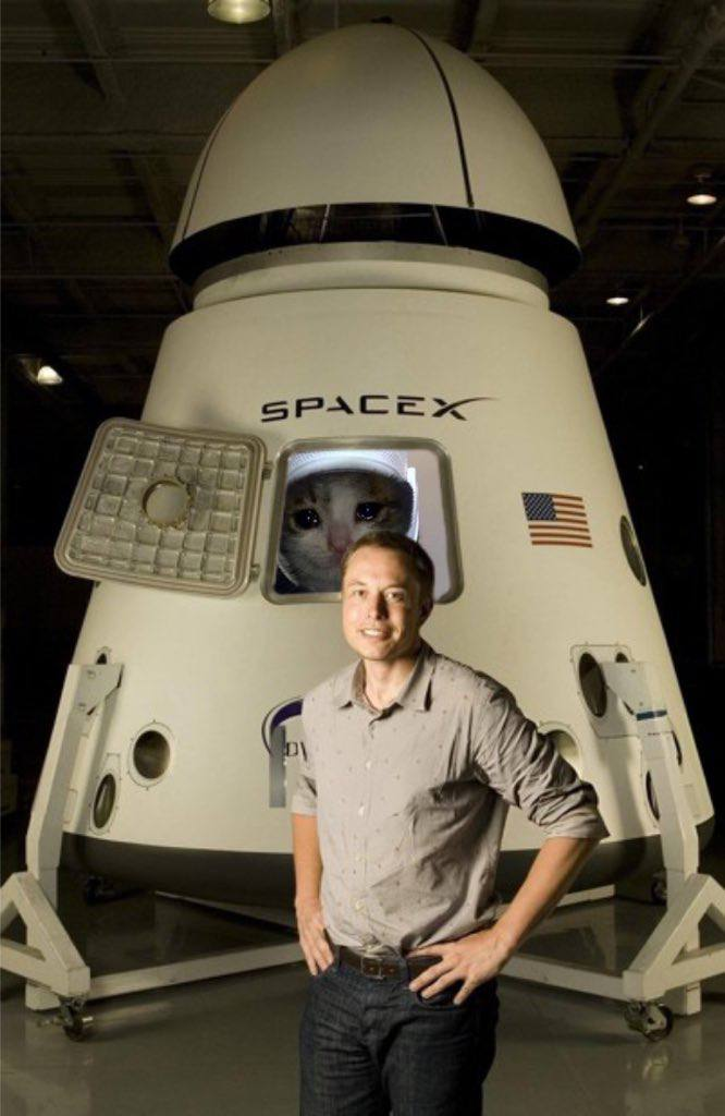spacex
