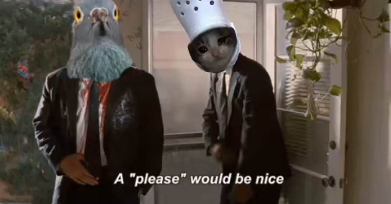 please would be nice