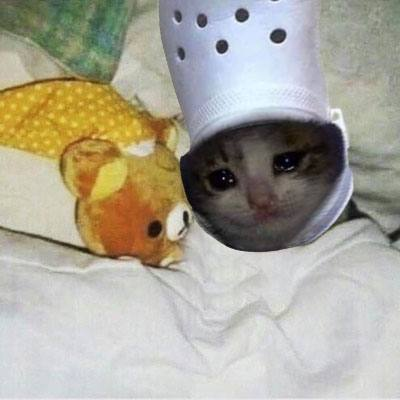gn