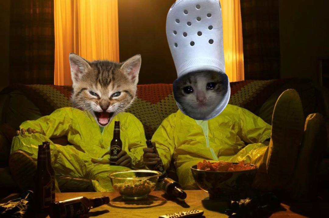 croc x roaringkitty