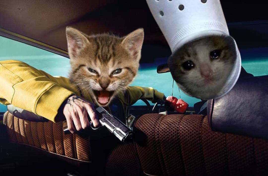 croc x roaringkitty#2