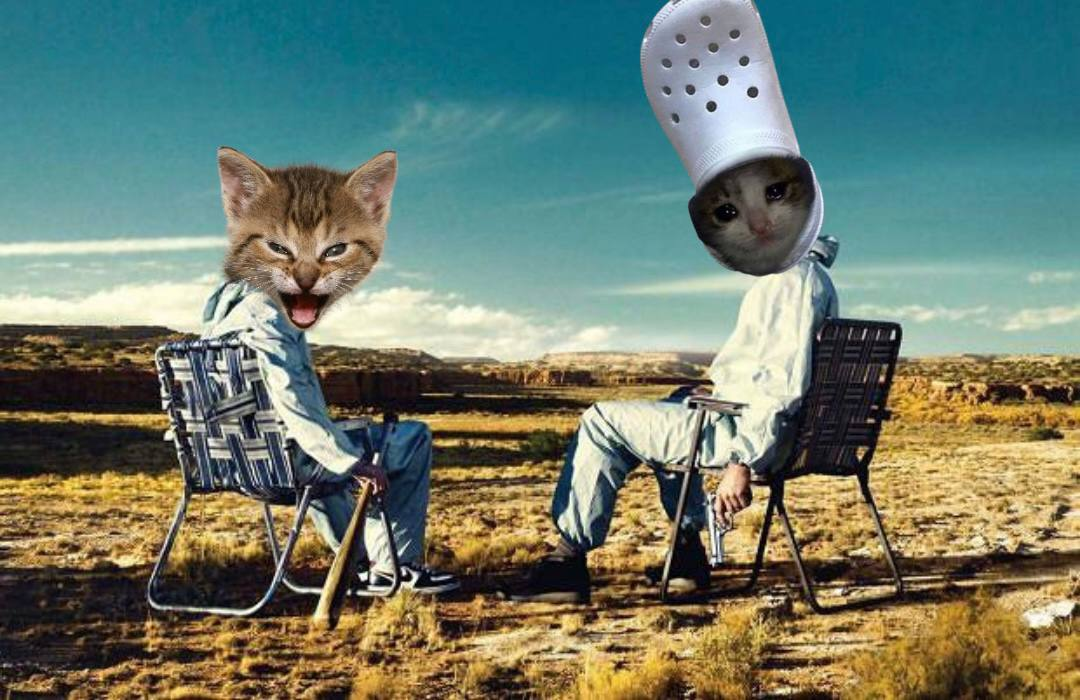 croc x roaringkitty#3