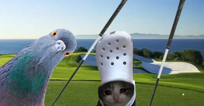 croc x pigeon x golf