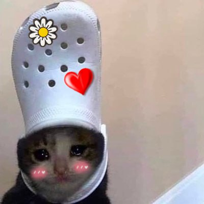 uwu croc
