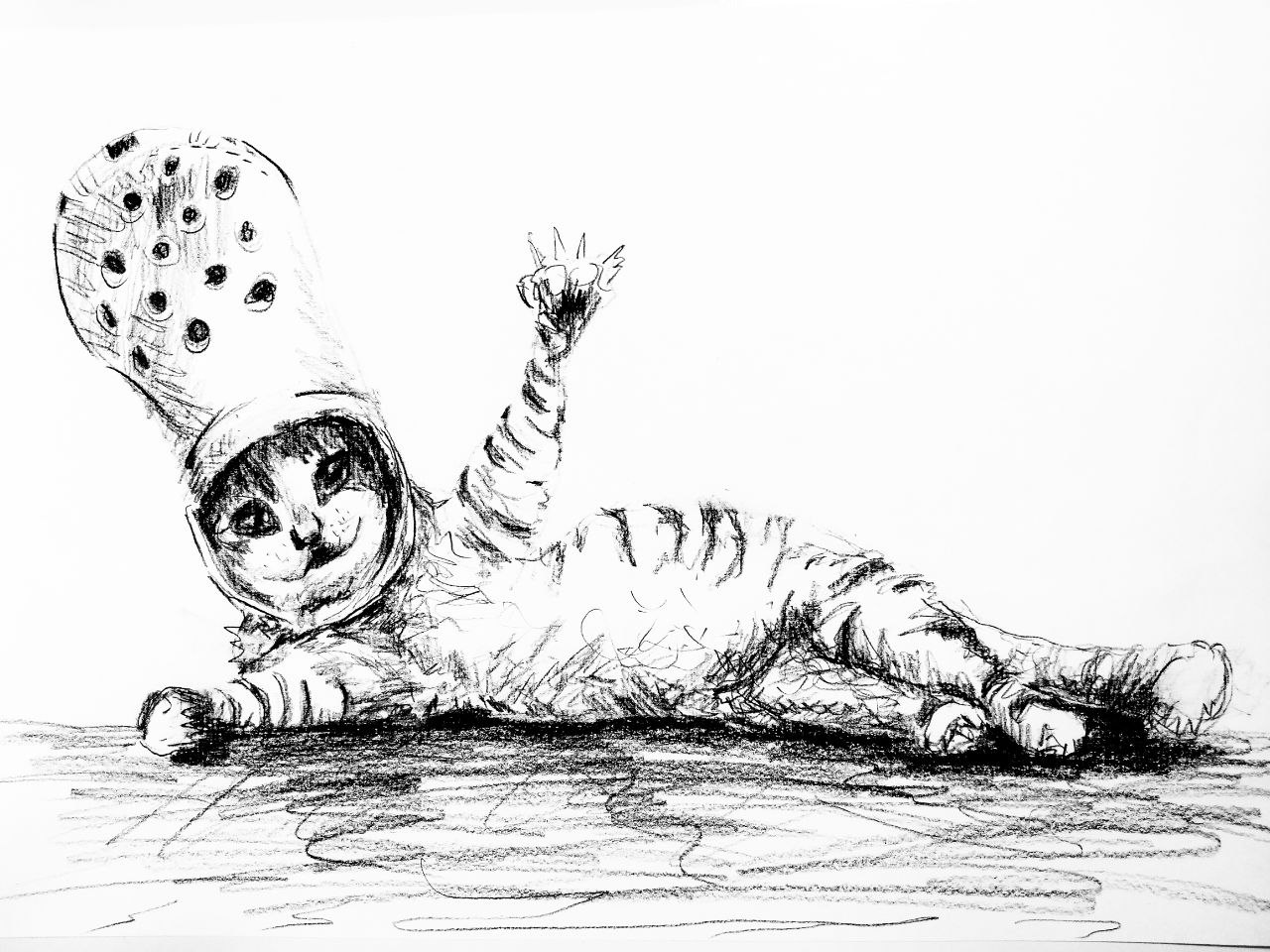  sketchy_croccer