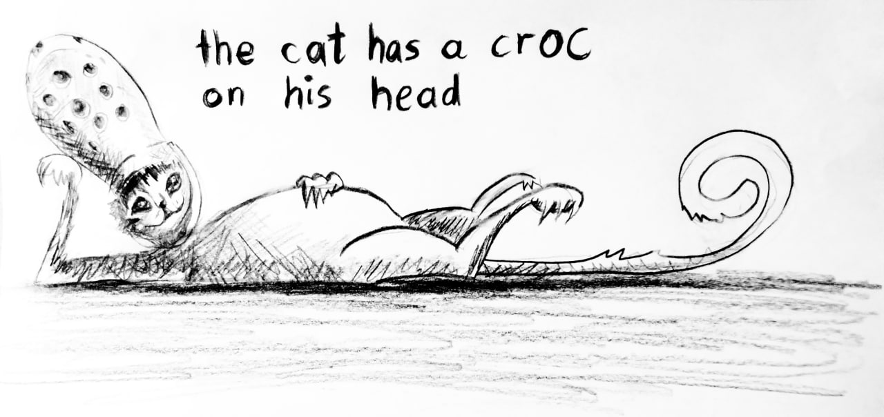 sketchy_croccer