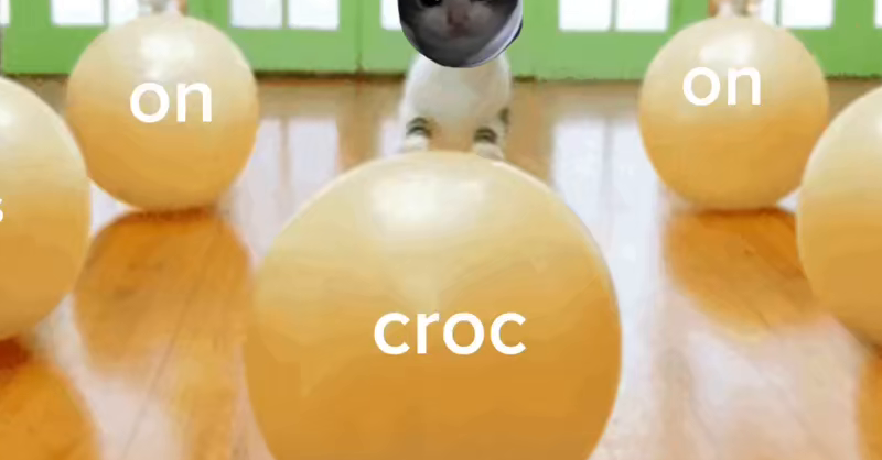croc stays on pilates