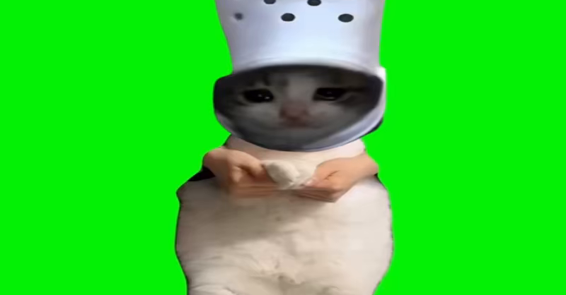greenscreen move dance