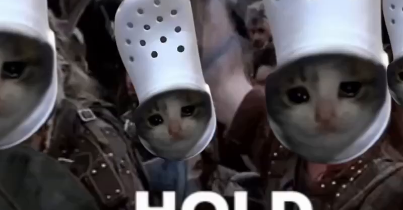 hold