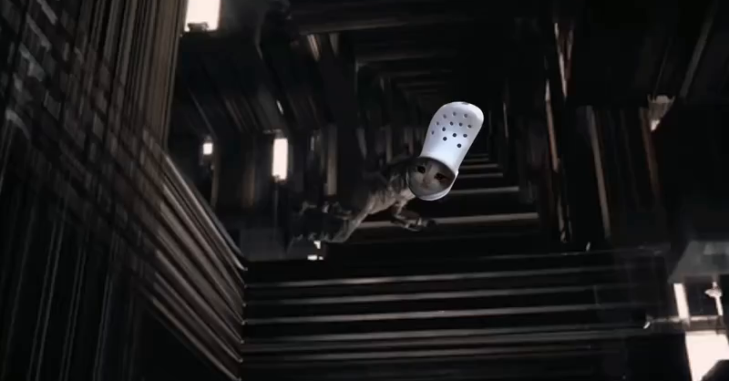 interstellar croc
