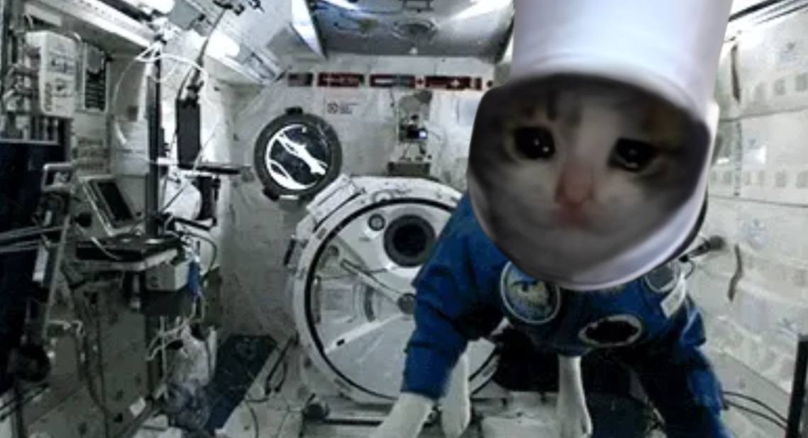 zerog