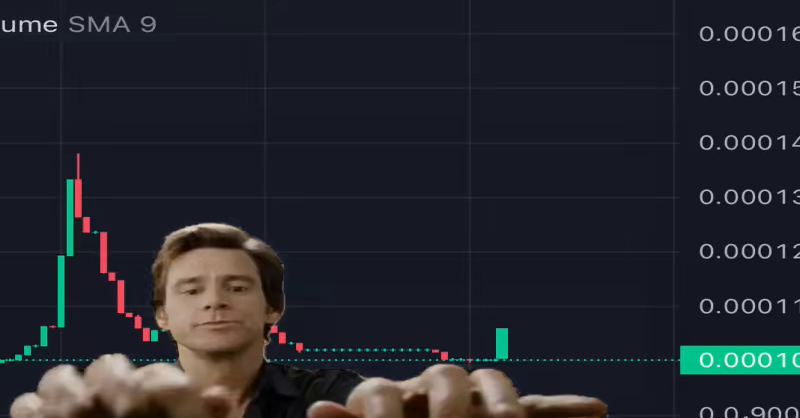 jim pump crocs chart