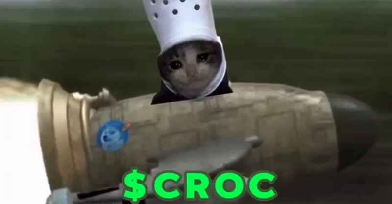 croc rocket ticker