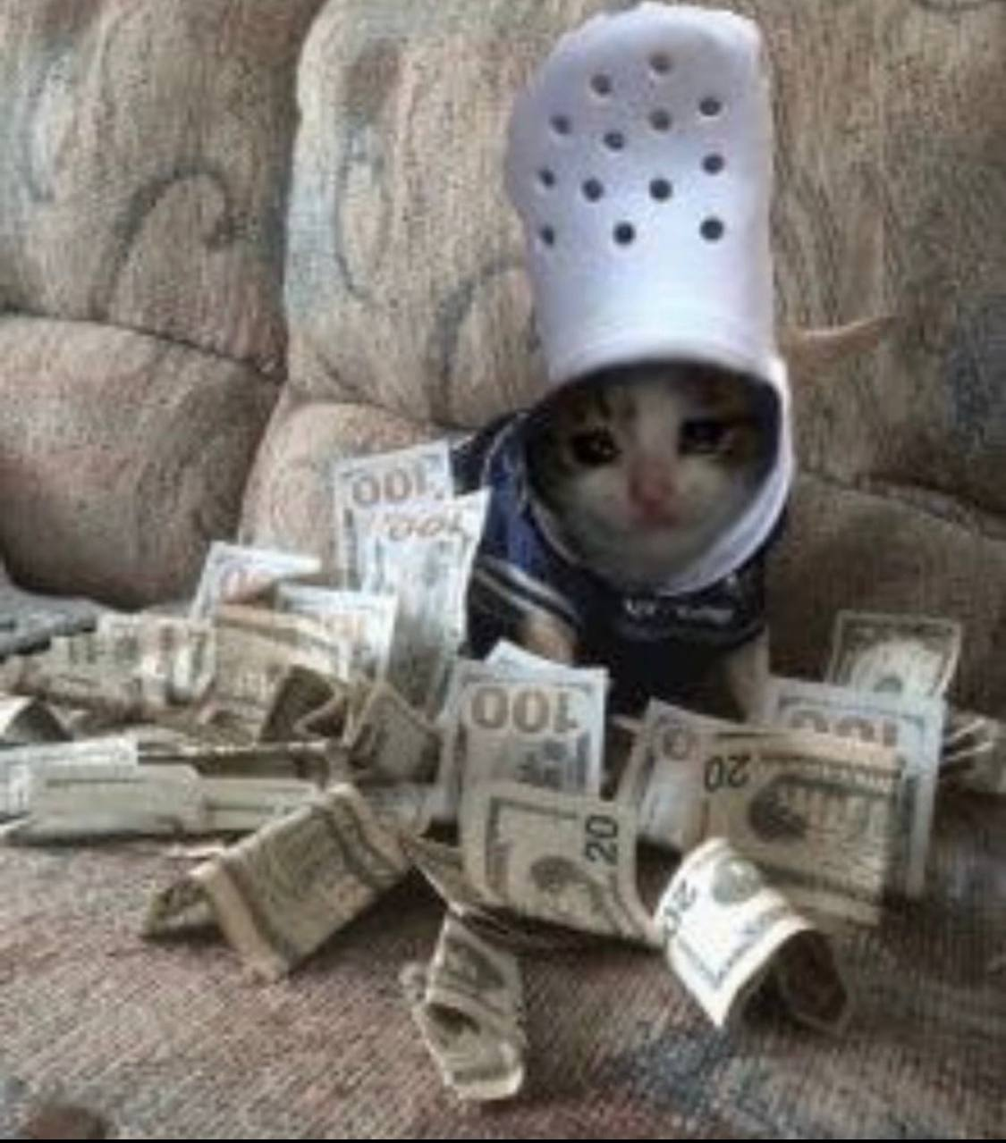 croc with bag