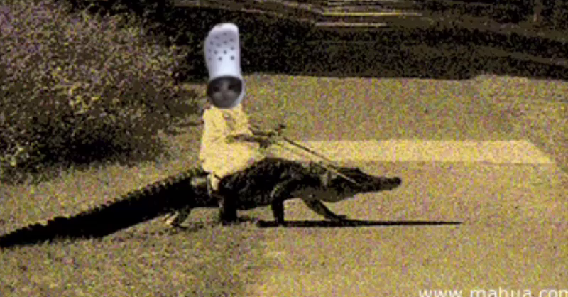 croc croc