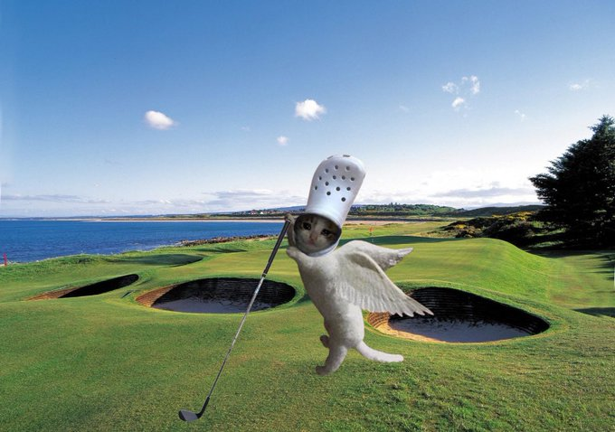 crocasus golf