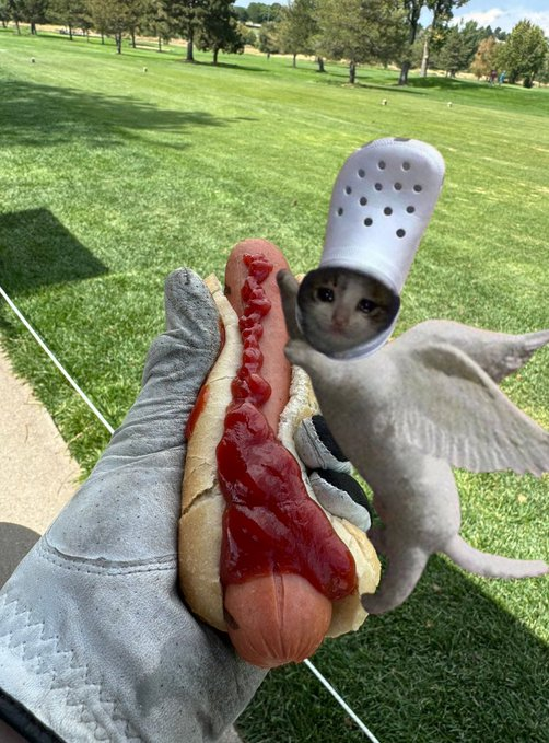 crocasus greg hotdog