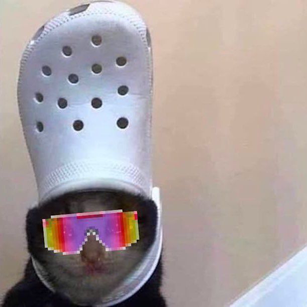 croc goggles