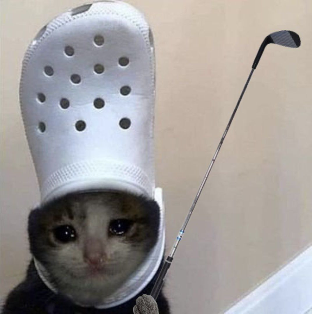 ale_ale_croc