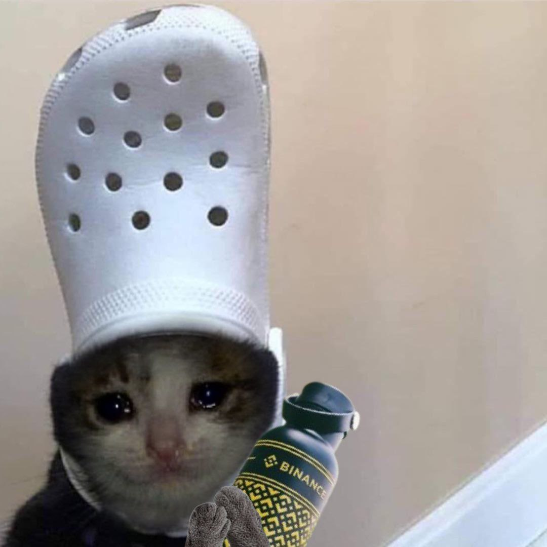 ale_ale_croc