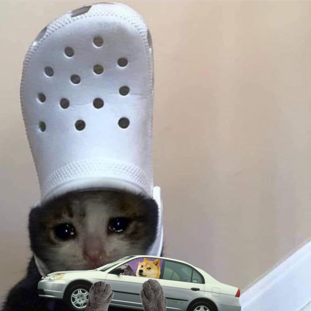 ale_ale_croc