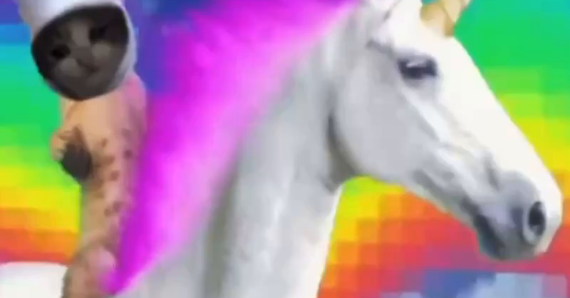 croc unicorn