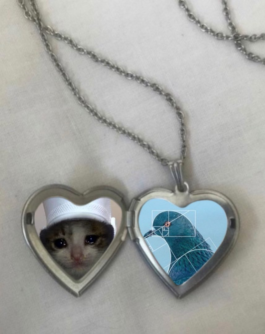 if no room in your pigeon heart, there’s always silver ones