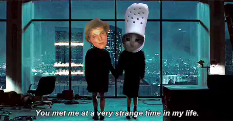 you met me at a very strange time lexapro