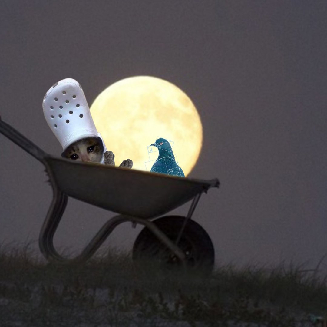 from here there’s a great view of the moon