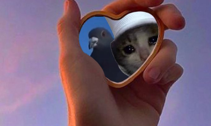 pigeonxcroc mirror