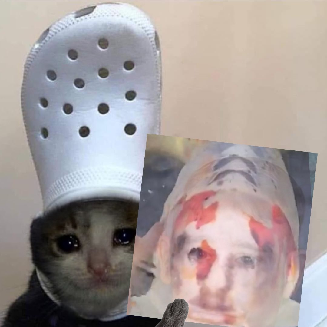 gregxcroc if you say so