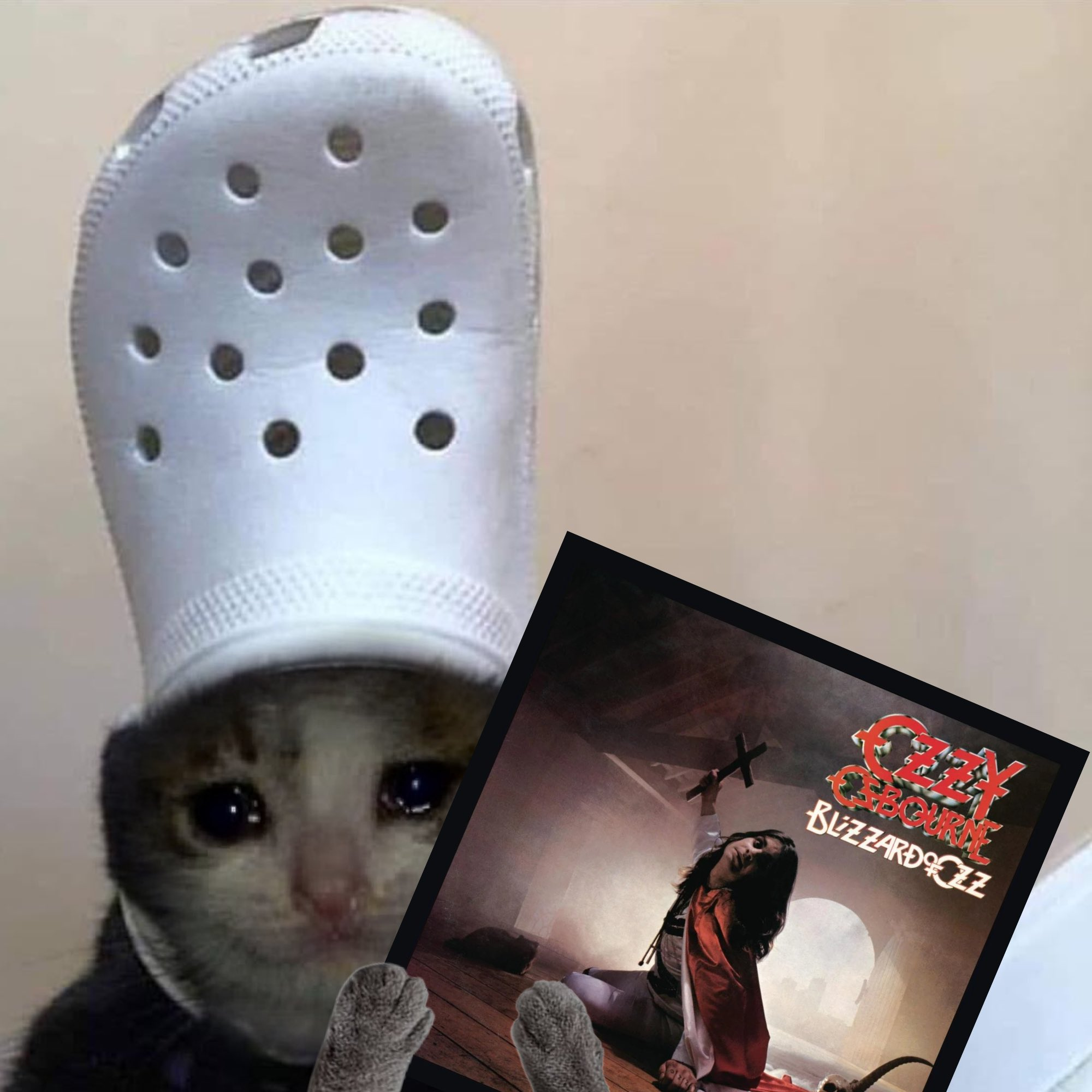rip ozzy