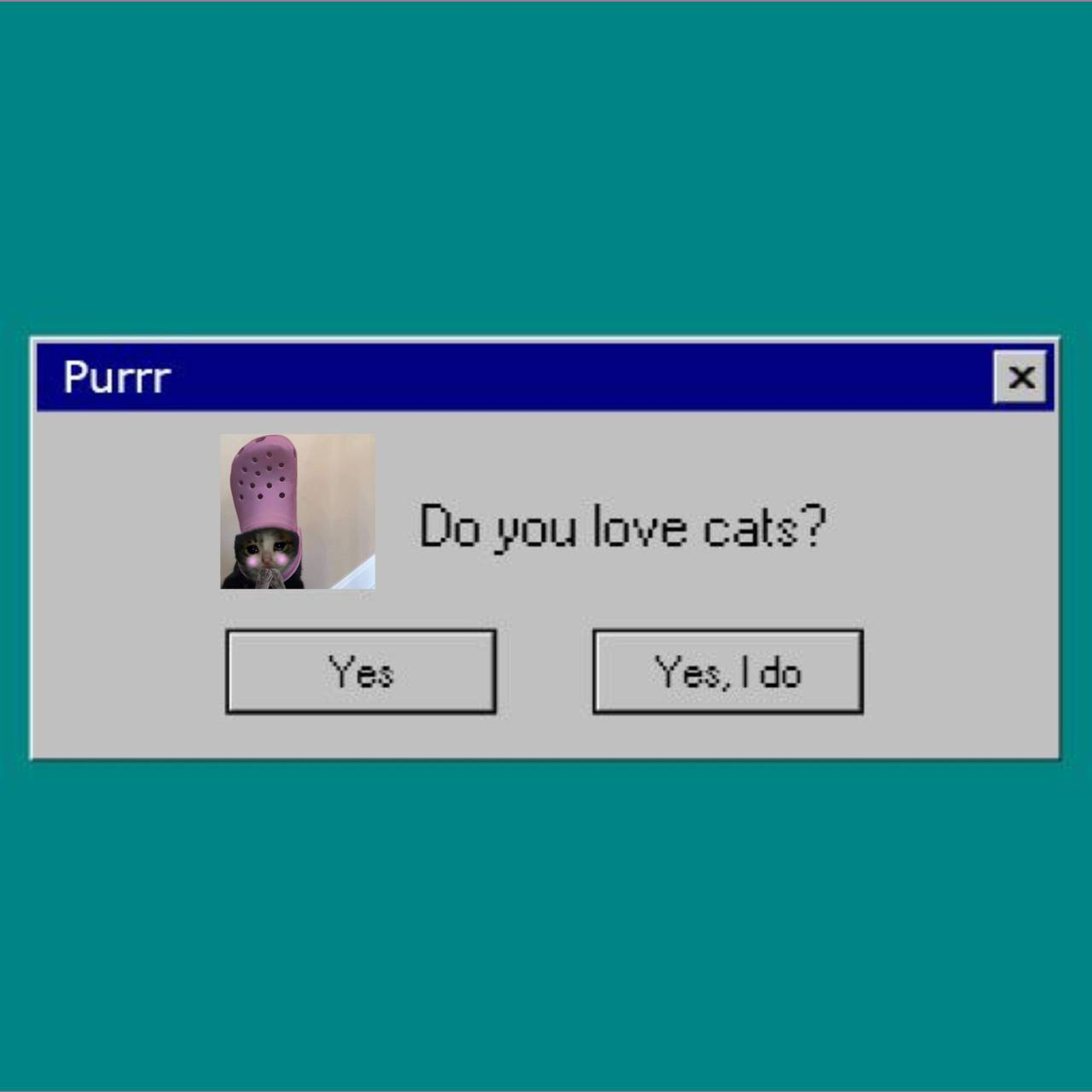 do you love cats?