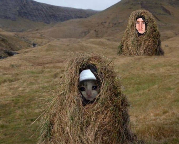 croc x greg hide and seek