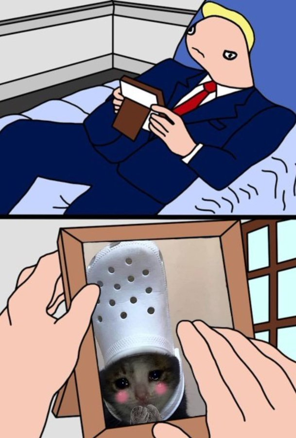 crocxtremp small shelf is all i need