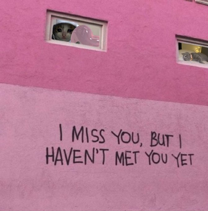 croc x bsol i miss chandi