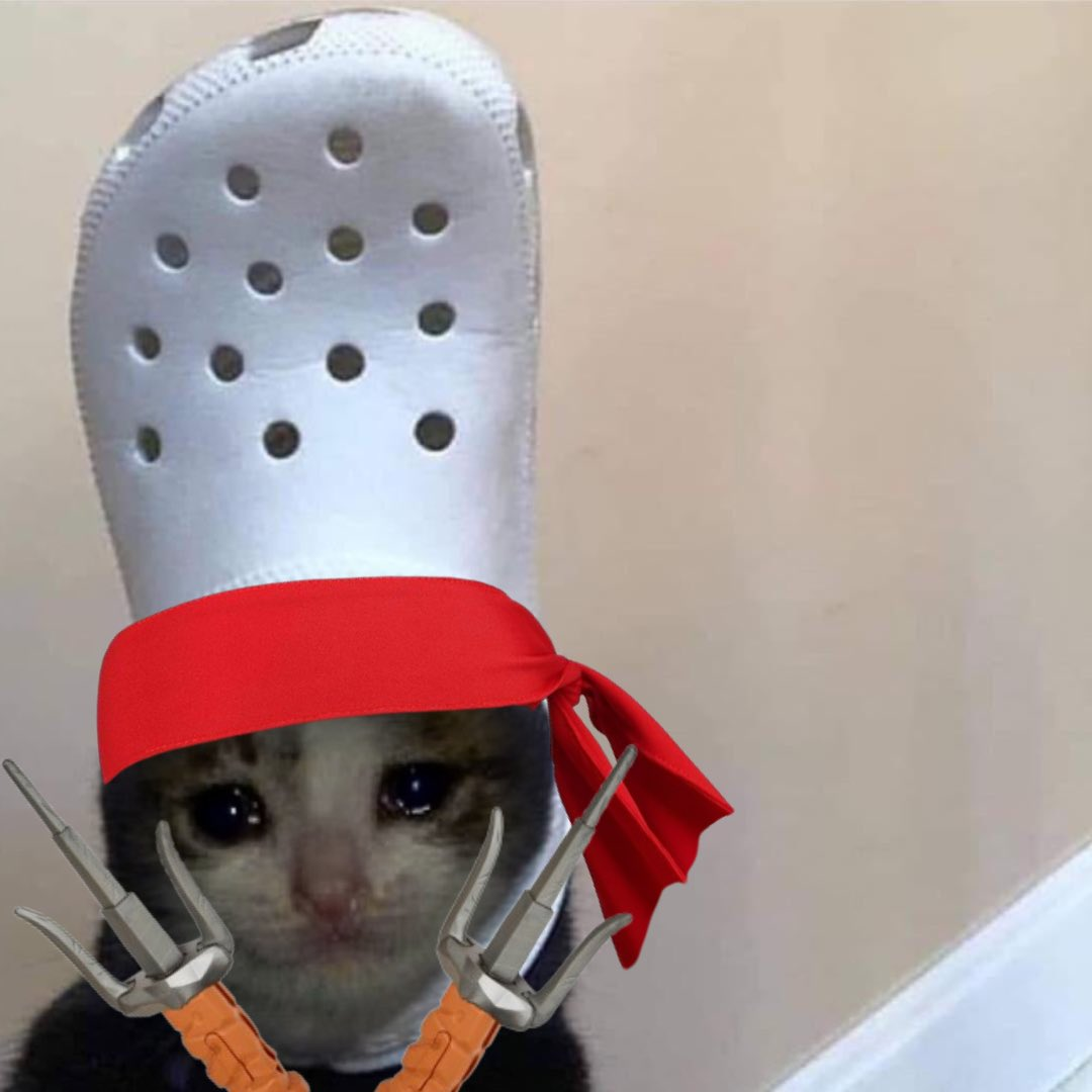 croc x mitch teenage mutant ninja turtles